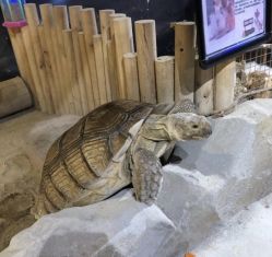 -酷嗒动物文化乐园(cutezoo西溪乐天城店)