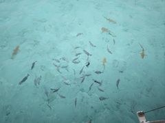 -中央格兰德岛温泉度假酒店 - 全包