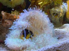 -上海海洋水族馆