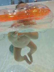 -雏芽婴幼儿游泳·小美医生小儿推拿(西村店)