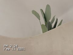 -风吟仟茶(友阿店)