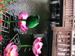 -豫园湖心亭茶楼