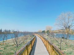 -羊亭河湿地公园