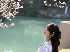 -徽园