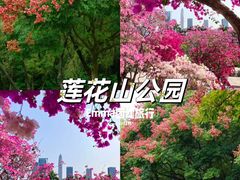 -香蜜公园