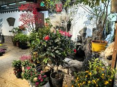 -双季花艺园艺市场(浦东店)