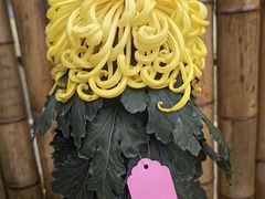 -上海大学（宝山校区）-图书馆