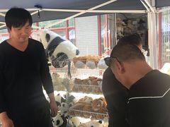 -西安秦岭野生动物园