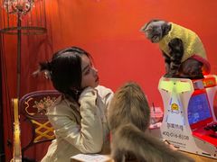 -猫色咖啡·猫咖
