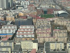 -龙塔