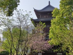 -堤角公园