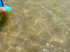 -碧海金沙