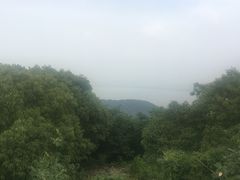 -雨花胜境