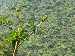-汉中石门栈道景区