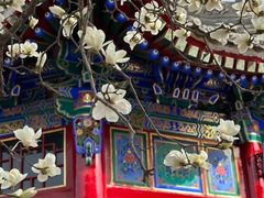 -西安市广仁寺