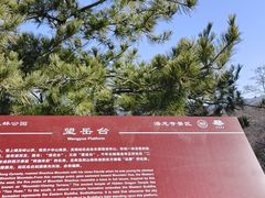 -少华山国家森林公园