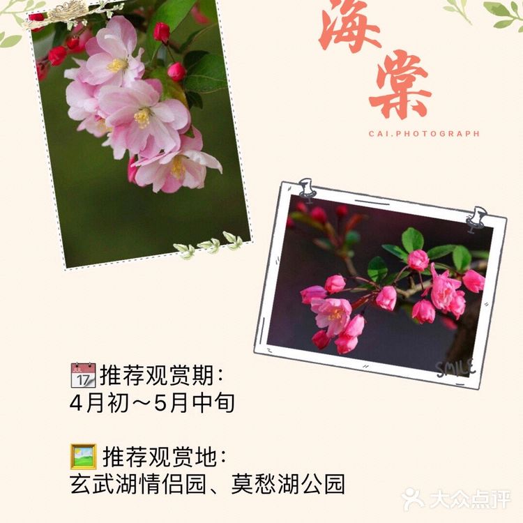 南京最全赏花地图🌸承包春天，有这份攻略就够了‼️