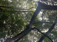 -灵隐飞来峰景区