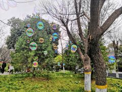 -西安青龙寺遗址景区