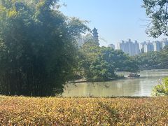 -江心屿景区