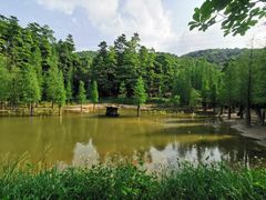 -广州市帽峰山景区