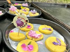 -九善农植有机生活农场