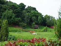 -沈阳森林动物园