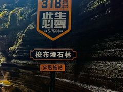 -梭布垭石林景区