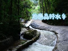 -龙岩森林水乡景区