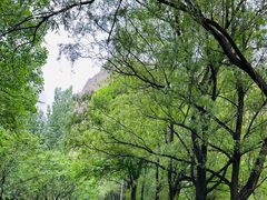 -龙门涧景区