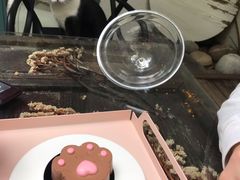 -喵屿·大理花园猫咖