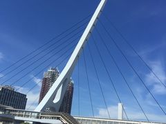 -台场海滨公园船码头
