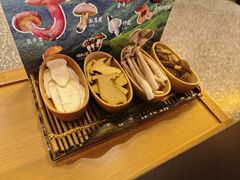 -季季山•云南野生菌火锅(上海首店)