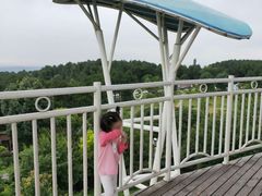 -铁山坪森林公园