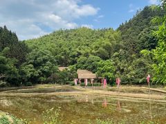 -常德桃花源景区