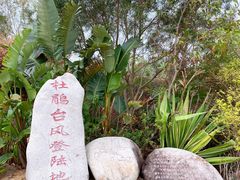 -广东惠东海龟国家级自然保护区