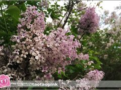 -哈尔滨师范大学(江南校区)