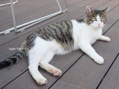 -UNI UNI(环亚凯瑟琳店)