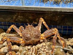 -青蓬蒸汽海鲜·深圳老字号·团建聚会(壹方城店)