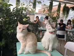 -小时光咖啡馆(北锣鼓巷店)