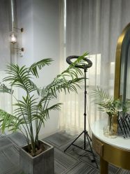 -AM半永久纹眉