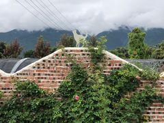 -猫米花园