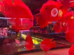 -中环花鸟鱼虫市场