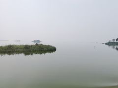 -滕州微山湖红荷湿地景区