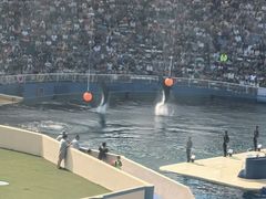 -秦皇岛乐岛海洋王国