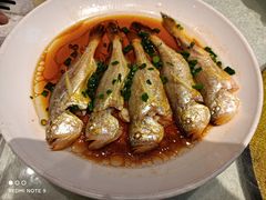 梅子鱼-启东海鲜人家(古美路店)