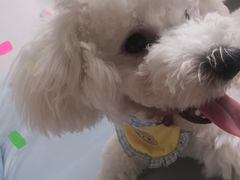 -FAELING PETS美天灵宠物(富力广场店)
