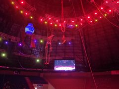 -俄罗斯国家大马戏团