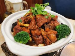 -墨脱石锅椰子鸡•香草鸭•东山羊(大东海店)