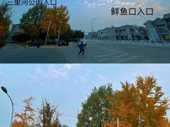 -三里河公园